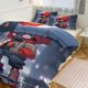 thumbnail image 1 of Spiderman Spidey VS 3 Piece Size Bed Set - Includes Comforter & Pillow Shams Bedding Bed Sheets, 1 of 5