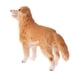 thumbnail image 4 of simulación animal modelo figura juguetes figurita decoración del hogar golden retriever, 4 of 5
