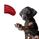 thumbnail image 1 of Tapones para Uñas de Perro Pretty Claws Grandes Rojo Manzana Caramelo 60 piezas, 1 of 4