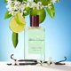 thumbnail image 2 of Perfume Lemon Island Pure Perfume 100 Ml, 2 of 2