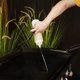 thumbnail image 4 of Juego de herramientas para asar Blackstone Grill Scraper, pinzas para barbacoa, 4 of 8