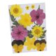 thumbnail image 1 of Flores Secas Reales Hojas Prensadas Cereza, 1 of 5