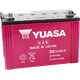 thumbnail image 2 of Batería de Auto Yuasa 130D31R - 91 AH y 746 CCA, 2 of 2