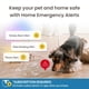 thumbnail image 4 of Cámara para mascotas Furbo Mini New + Nanny Bundle con Home Security, 4 of 7