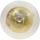 thumbnail image 5 of Bombilla SYLVANIA 1895 miniatura, paquete de 10, 5 of 5