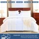 thumbnail image 5 of Juego de edredón CozyLux Full 213 × 218 cm, 3 piezas, blanco, 5 of 9