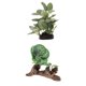 thumbnail image 2 of 2 Unids/set Planta De Hierba De Agua Artificial Para Reptil O Tanque De Acuario Verde, 2 of 4