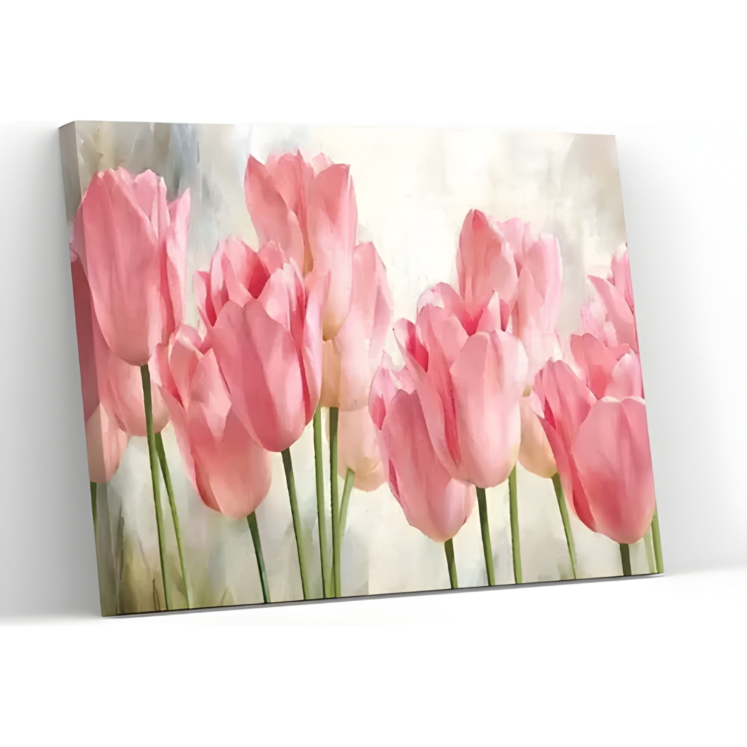 Genérico - Pintura Por Números Con Marco Incluido