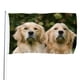 thumbnail image 1 of Golden Retriever Bandera impresa con temática, regalo perfecto para fanáticos, amigos y familiares, y adecuada para actividades al aire libre e interiores, decoraciones de fiesta. 120*180CM, 1 of 6