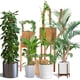 thumbnail image 4 of Moss Pole Craft911 - Soporte flexible para plantas (122 cm), 4 of 7