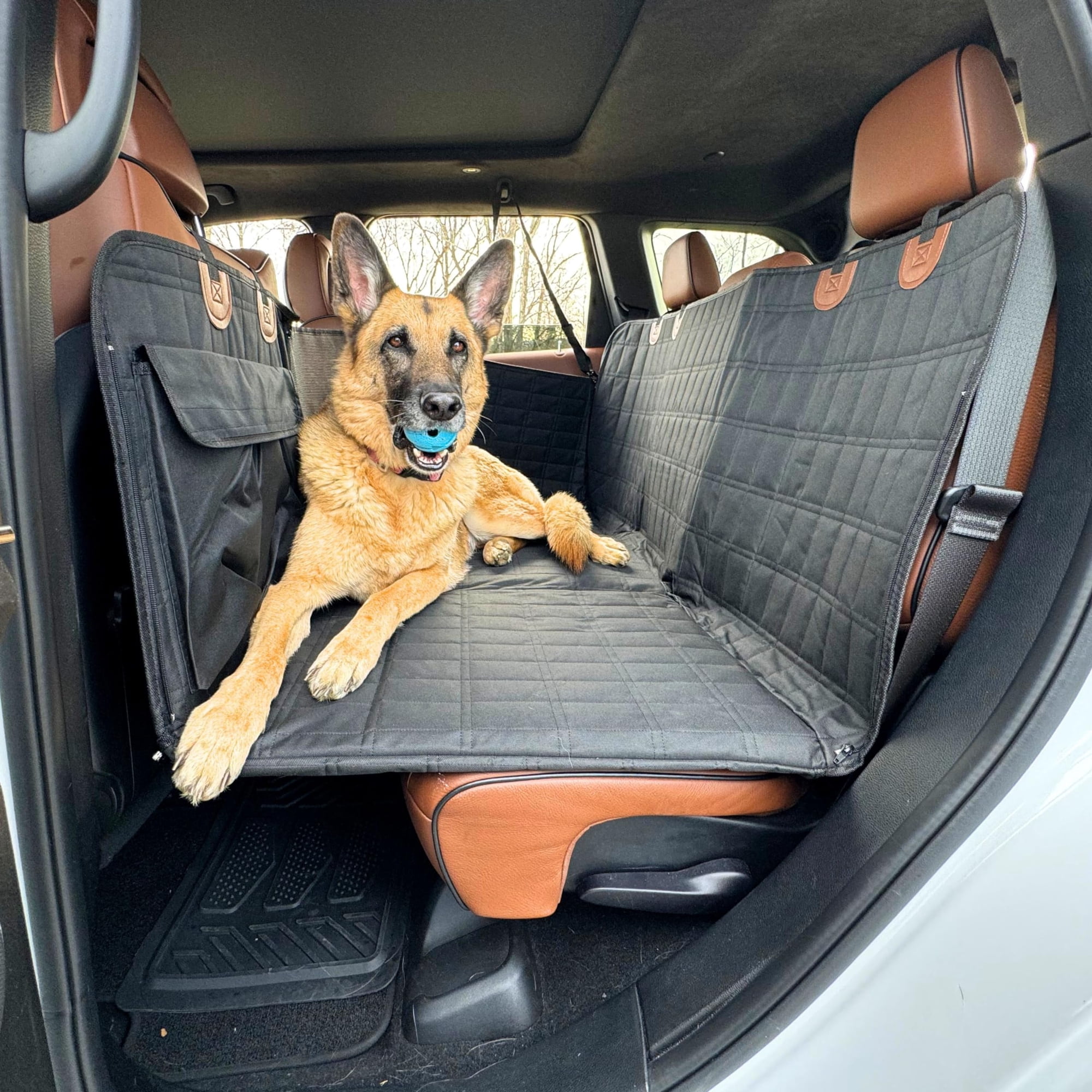 Extensor De Asiento Trasero Para Perros Apetsplanet, Impermeable Para Coches, Color Negro