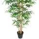 thumbnail image 2 of Planta Decorativa Artificial Bamboo 180 Cms., 2 of 4