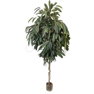 Corel - Planta Decorativa Árbol De Ficus Alli No Incluye