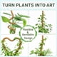 thumbnail image 3 of Barra de musgo para soporte de plantas Monstera SURPPO, paquete de 2 unidades, 70 cm, 3 of 8