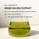 thumbnail image 3 of Aceite Facial Cold Current Kelp KelpGlow Lavanda Costera 30 ml, 3 of 6