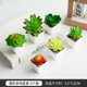 thumbnail image 1 of suxuMhao Suculentas de Follaje Artificial, 6 Pzas Planta Falsa de Interior con Maceta, Plantas Falsas Suculentas Artificiales, Verde/blanco/rojo, 2.1x1.8in, Plantas Artificiales para Decoración Del, 1 of 5