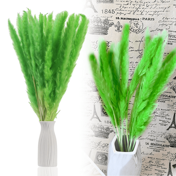 30 piezas de flores secas naturales de hierba de la pampa seca, planta de junco con caja, flores reales, ramos de flores románticas para bodas, sabrosas y duraderas para decoración del hogar DIY, a ju