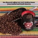 thumbnail image 4 of Cápsulas de café Lola Savannah Texas Pecan – 50 unidades, 4 of 9