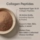 thumbnail image 3 of Colágeno Péptidos Sports Research Tipo 1 y 3 640 g Chocolate, 3 of 3