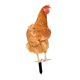 thumbnail image 1 of Estaca De Estatua De Animal De Pollo Realista Para Patio, Piscina, Porche Delantero, 30cm X 13cm, 1 of 5