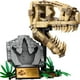 thumbnail image 2 of Jurassic World Fósiles De Dinosaurio: Cráneo De T. Rex 76964, 2 of 2