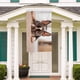thumbnail image 5 of Bandera Decorativa Boston Terrier Desmarcar 90x150 cm, 5 of 6