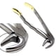 thumbnail image 1 of Fórceps Dentales A2Z SCILAB MD3 Mango Dorado Acero Inoxidable, 1 of 1