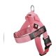 thumbnail image 1 of Arnés ajustable para perro BullHug rosa bebé talla pequeña, 1 of 9