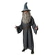 thumbnail image 1 of Disfraz Gandalf de El señor de los anillos de rubíes para hombre y adulto, 1 of 4