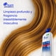 thumbnail image 2 of Shampoo Head & Shoulders Men Con Old Spice Control Caspa, 1000 ml, 2 of 6