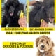 thumbnail image 5 of Cepillo para perros SHEDTITAN Doodle Slicker con kit autolimpiante, 5 of 9