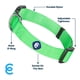 thumbnail image 2 of Collar para perros Blueberry Pet Essentials, verde neón, para perros pequeños, 2 of 8