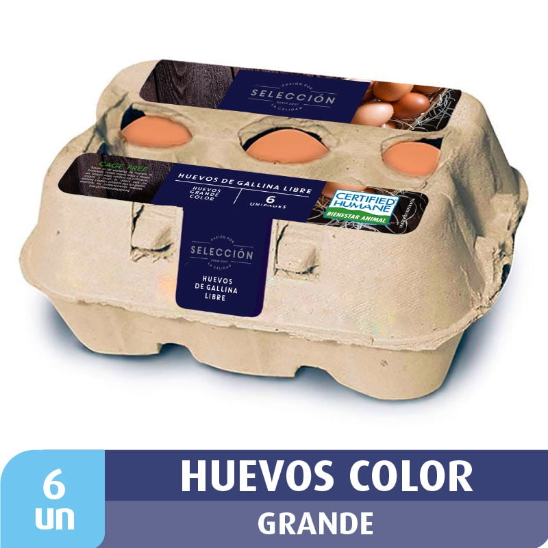 Huevos Grande Gallina Libre 6 Un 6 Un Selección