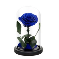 Rosas Azules Preservadas En Cúpula De Cristal Para Mamá De Natroses