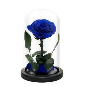 Rosas Azules Preservadas En Cúpula De Cristal Para Mamá De Natroses