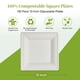 thumbnail image 2 of Platos de papel cuadrados compostables EcoliPak, 10 pulgadas, paquete de 150, 2 of 7