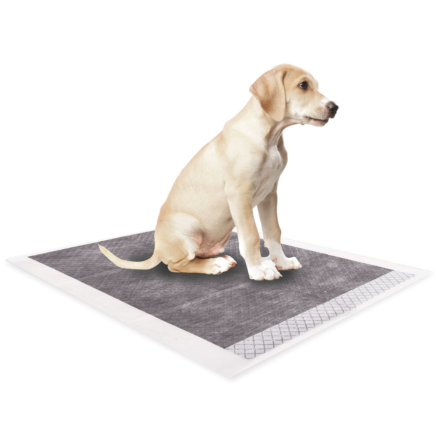 100 Sabanillas De Carbono 45x60cm Perros Mascotas Petwoow