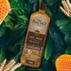 thumbnail image 4 of TIO NACHO SHAMPOO JALEA REAL 1L, 4 of 6