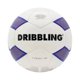 thumbnail image 1 of Pelota FÚtbol DRB Target 3.0 PU Nº5, 1 of 1