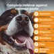 thumbnail image 4 of Solución Tópica Advantage Multi para Perros 25-40 kg 6 Dosis, 4 of 8