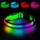 thumbnail image 1 of Collar LED PWOD mediano verde impermeable para perros y gatos, 1 of 7