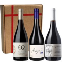 Bbvinos - 3 Vinos Mix Alta Gama Syrah, 750 Ml