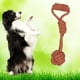 thumbnail image 1 of Juguete cuerda de algodón con pelota para mascotas naranjo, 1 of 1