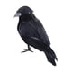 thumbnail image 3 of Cuervos De Halloween Cuervos Con Plumas Negras Realistas Para Disfraces Elegantes Patio Césped Estilo B, 3 of 5