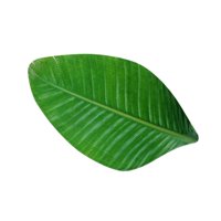 Magideal - Alfombras De Área Hojas Batn Mat Felpudo Alfombra De Baño Absorbente De Agua Antideslizante Alfombra Suave Alfombra De Piso Para El Hogar Baño Dormito 39X70Cm