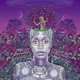 thumbnail image 1 of LP Capitol New Amerykah Part One – Edición Púrpura 2 LP, 1 of 1