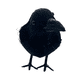 thumbnail image 3 of Pack 4 Cuervos Realista Emplumado Negro Halloween 2025, 3 of 6