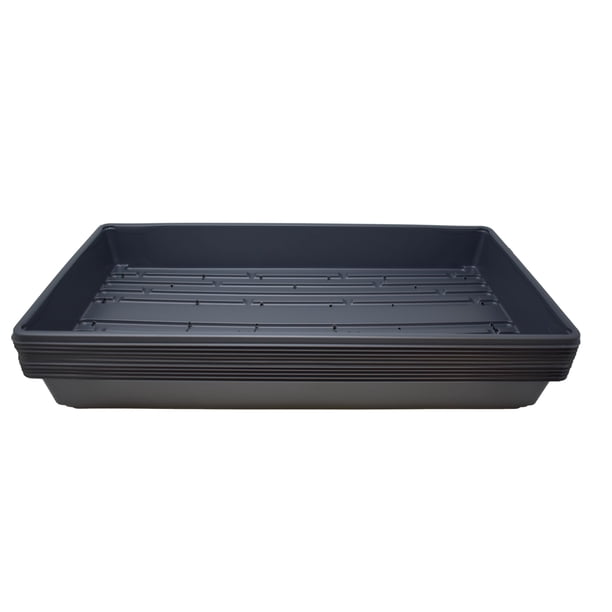 Bandejas para cultivo de plantas Living Whole Foods 51 x 25 cm con orificios de drenaje