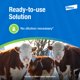thumbnail image 3 of Insecticida Elanco Permectrin CDS pour-on 473 ml, 3 of 7