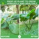 thumbnail image 4 of Estacas de soporte para plantas LEOBRO, 6 piezas, 25 cm x 61 cm, metal, 4 of 7